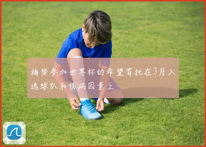 梅努参加世界杯的希望寄托在3月入选球队和伤病因素上