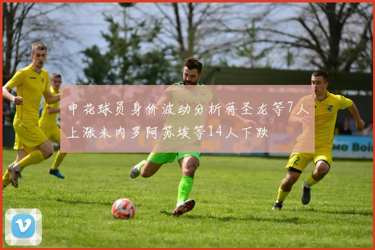 申花球员身价波动分析蒋圣龙等7人上涨米内罗阿苏埃等14人下跌