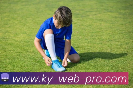 开云平台生态图